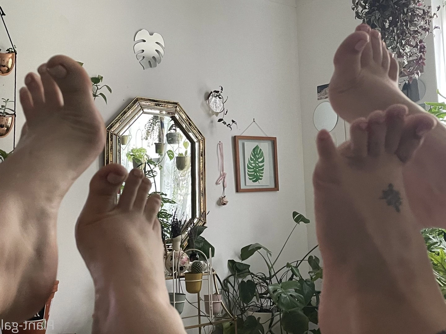 Ivy 🌿😈 [ plantgal ] Onlyfans leaked photo 4078586 on Hotleaks.tv