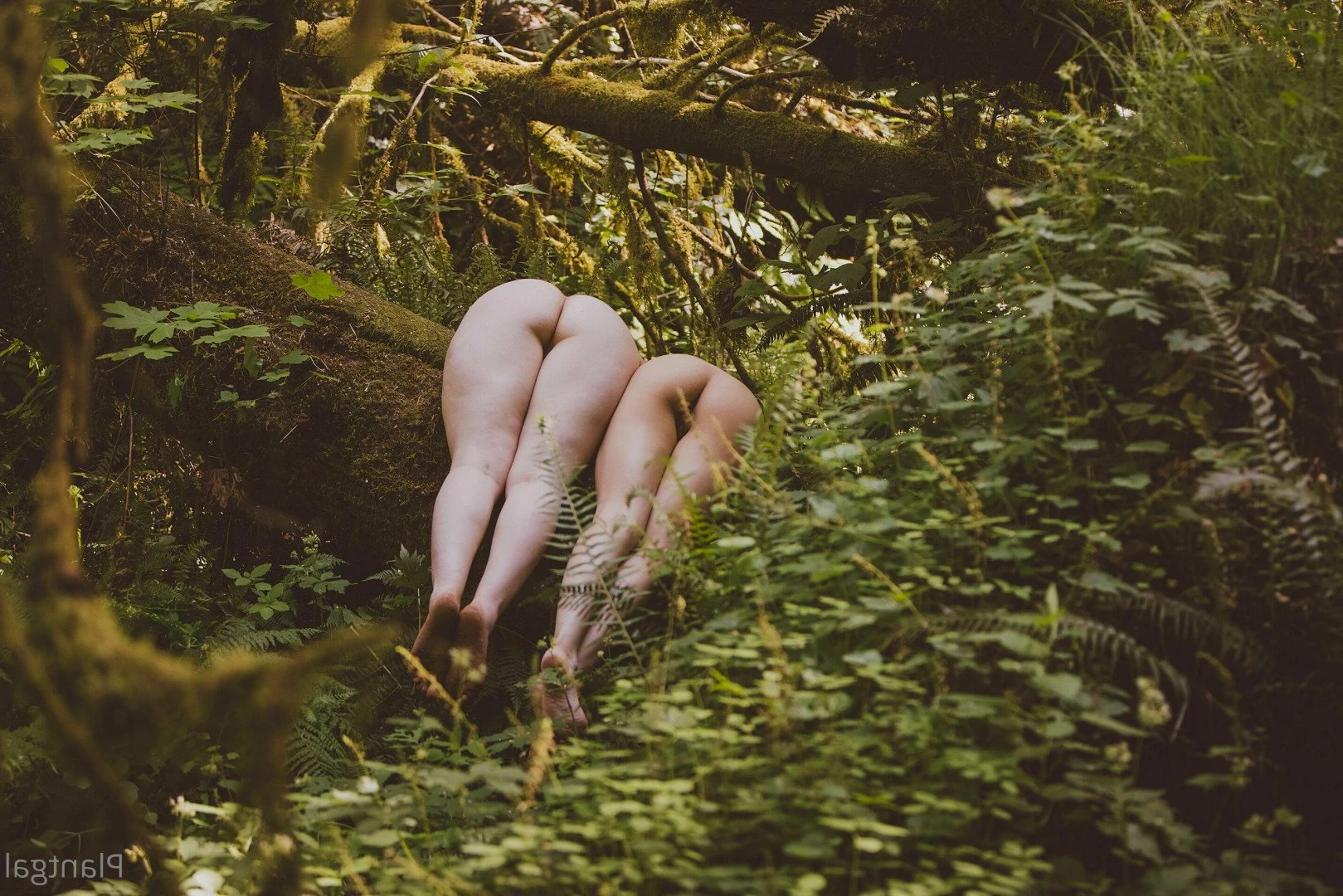 Ivy 🌿😈 [ plantgal ] Onlyfans leaked photo 4111889 on Hotleaks.tv