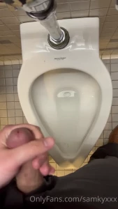 2231513