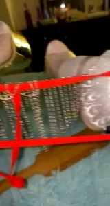 18316727