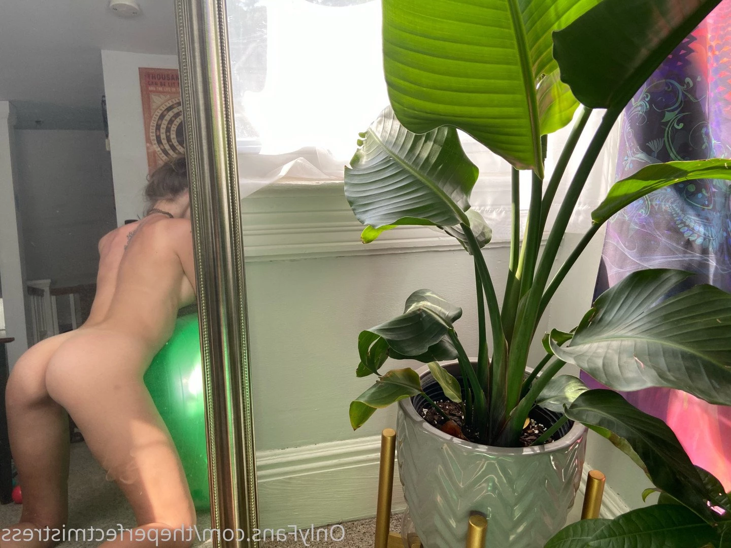 theperfectmistress Onlyfans leaked photo 3806941 on Hotleaks.tv