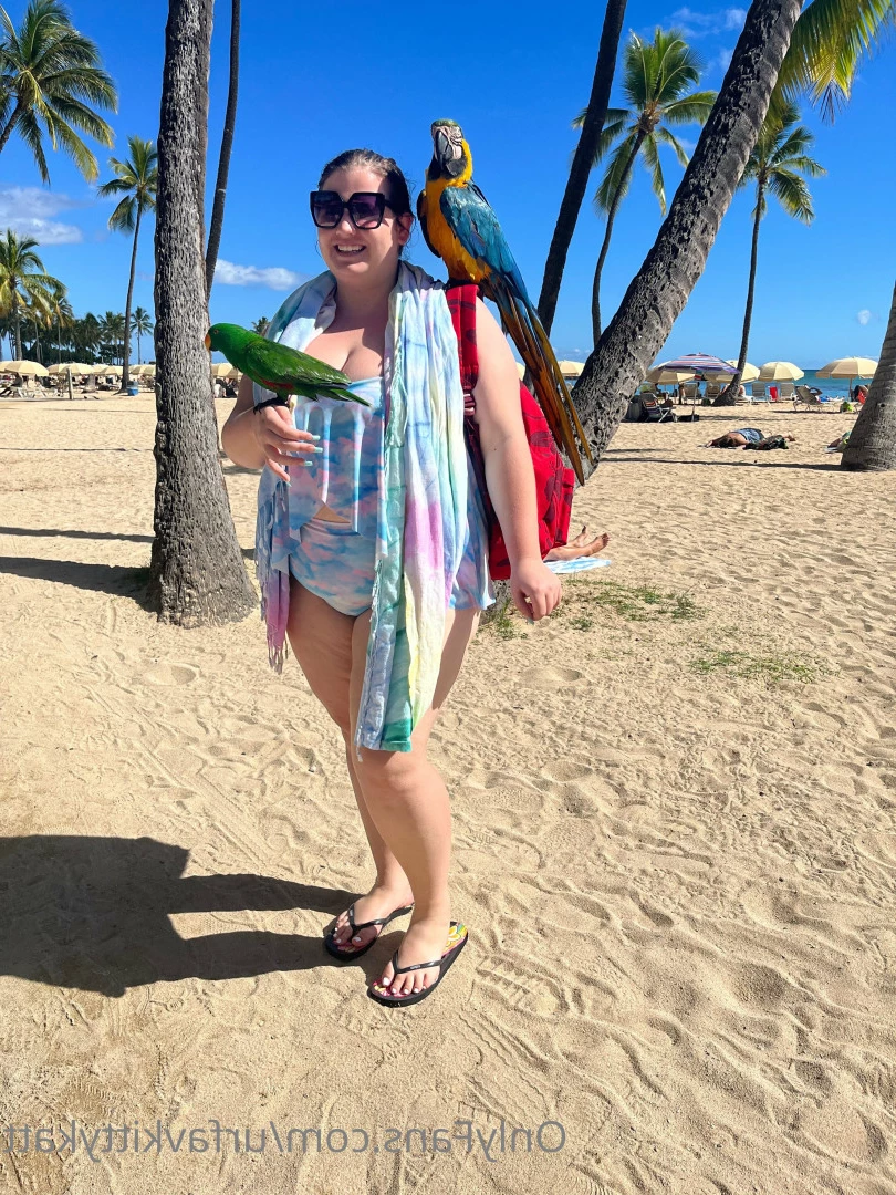 🍭 𝑯𝑶𝑹𝑵𝒀  BBW KITTY 🐱 CHECK DMs 👀 [ urfavkittykatt ] Onlyfans leaked photo 6035377 on Hotleaks.tv