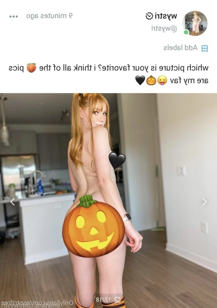 wystri [ wystrifree ] Onlyfans leaked photo 3659583 on Hotleaks.tv