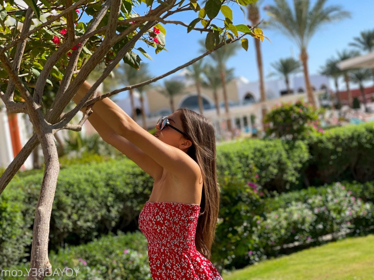 Yoya Grey ✨ [ yoyagrey ] Onlyfans leaked photo 3958749 on Hotleaks.tv