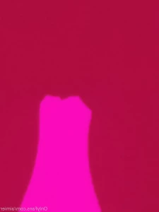 15251581