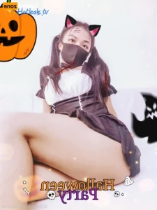 16255620