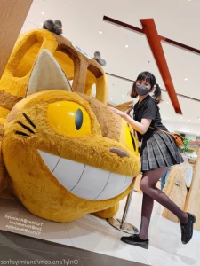 3624247