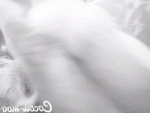 cocoa-moo Onlyfans leaked video 2952164 on Hotleaks.tv