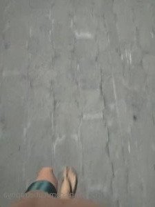 2953618
