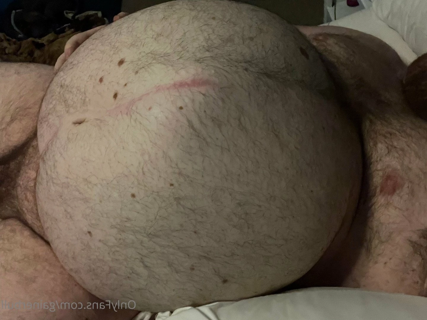gainerbull Onlyfans leaked photo 3517097 on Hotleaks.tv