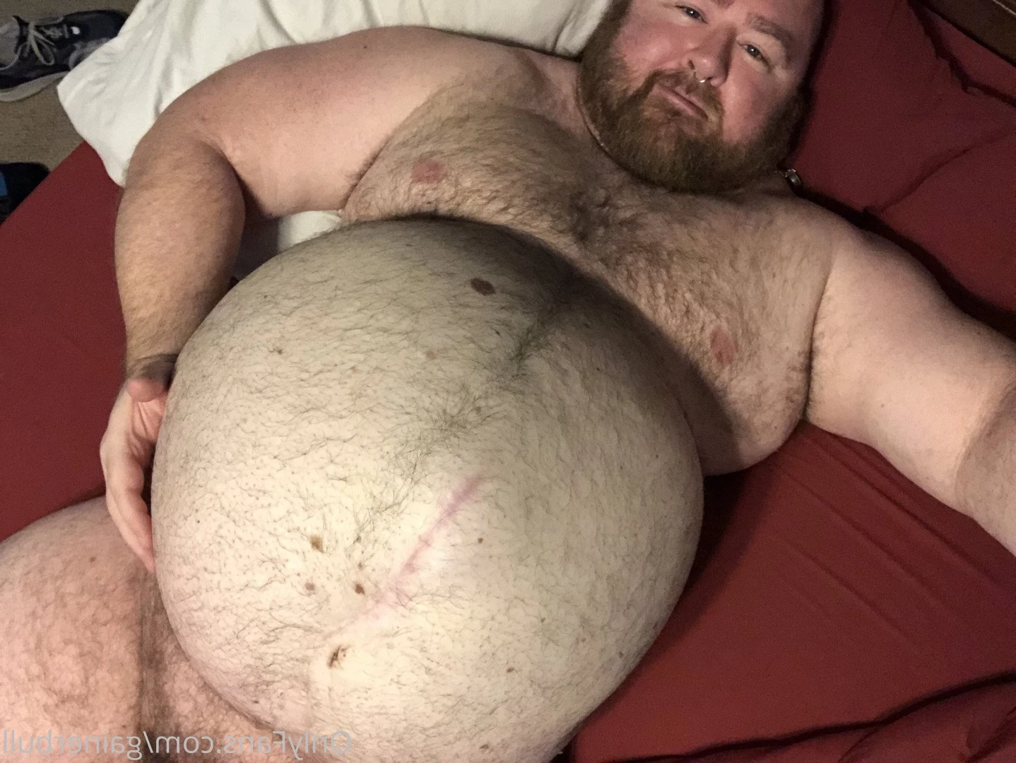 gainerbull Onlyfans leaked photo 3519558 on Hotleaks.tv