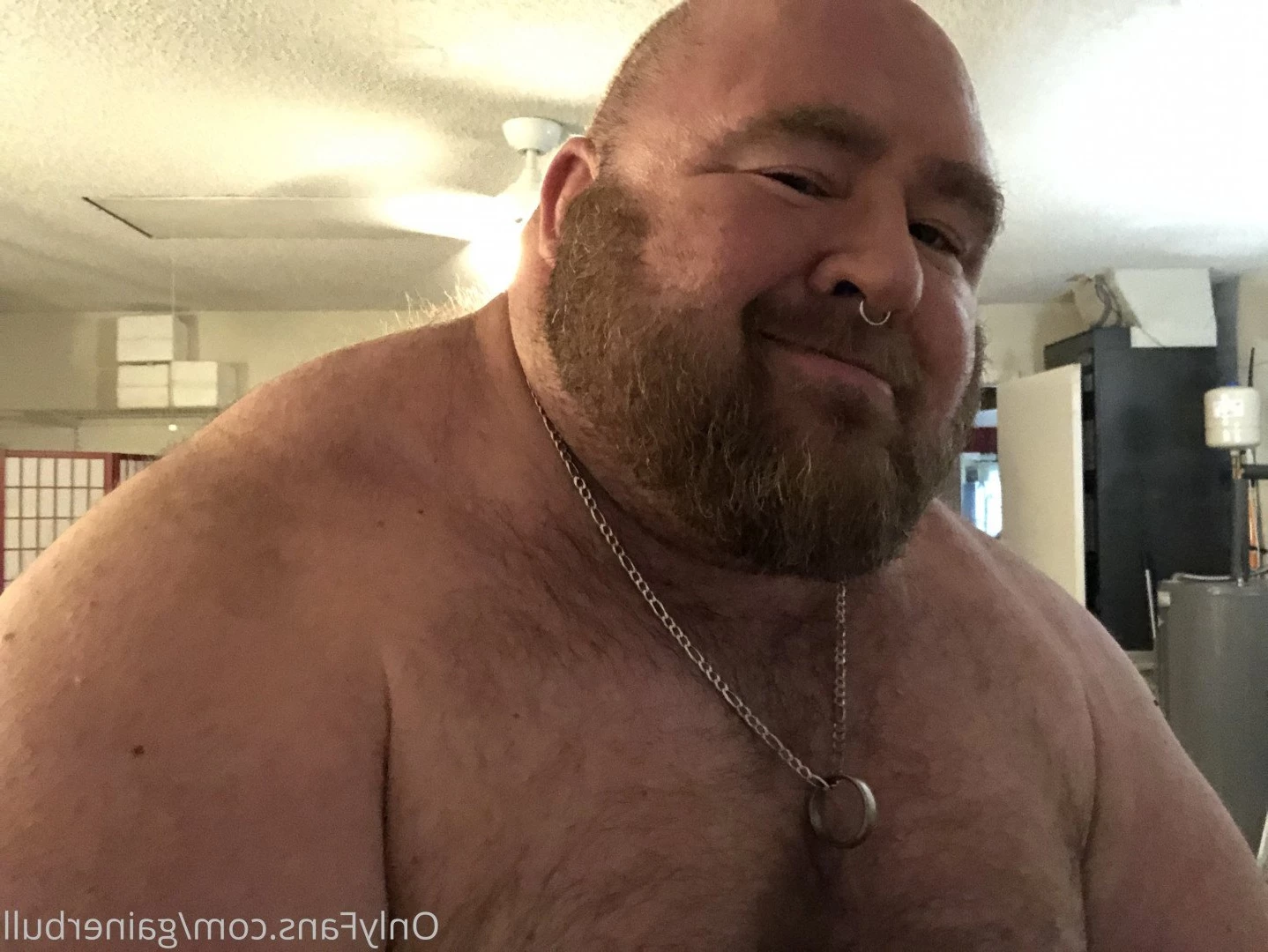 gainerbull Onlyfans leaked photo 3521686 on Hotleaks.tv