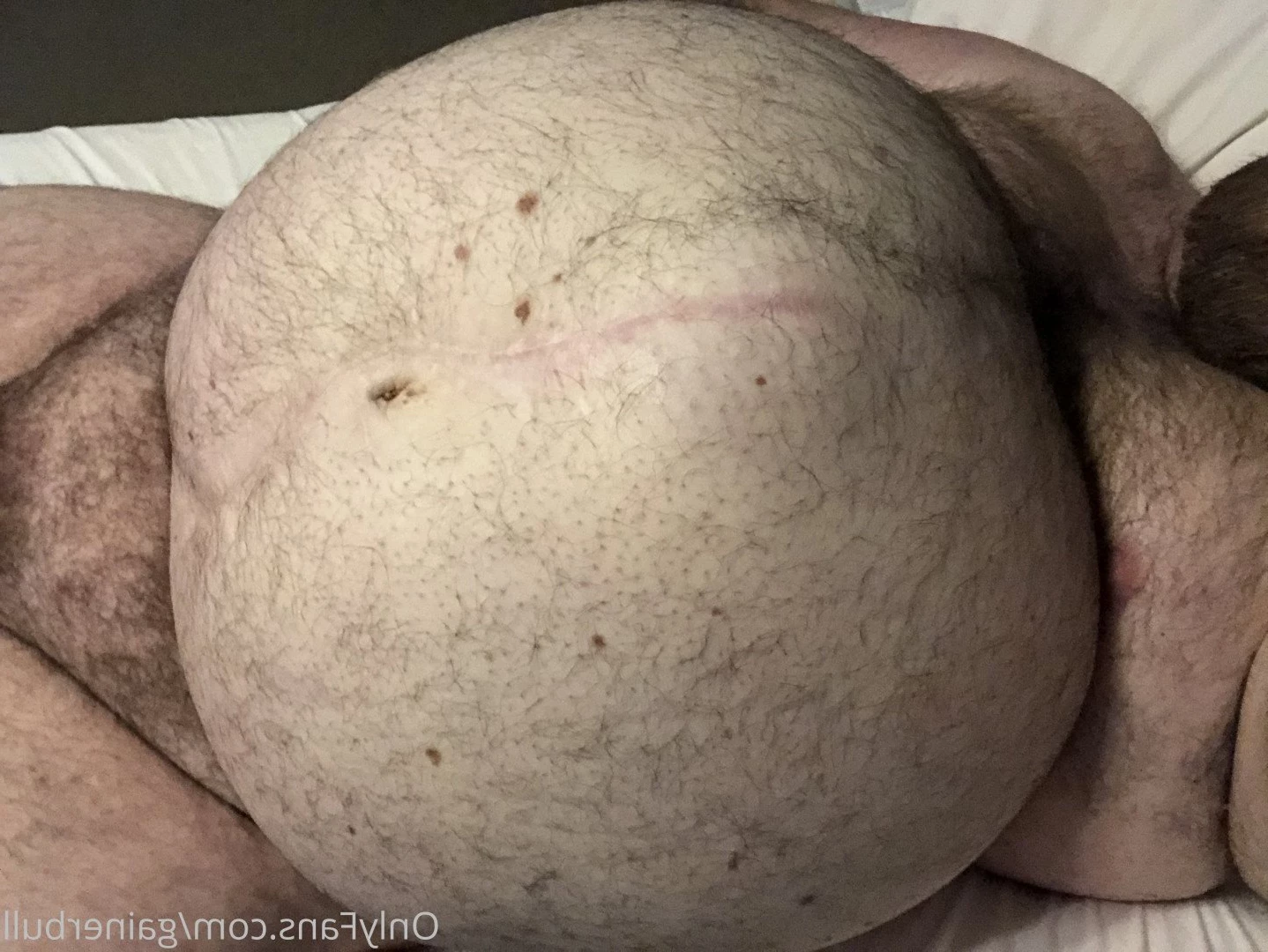 gainerbull Onlyfans leaked photo 3521995 on Hotleaks.tv