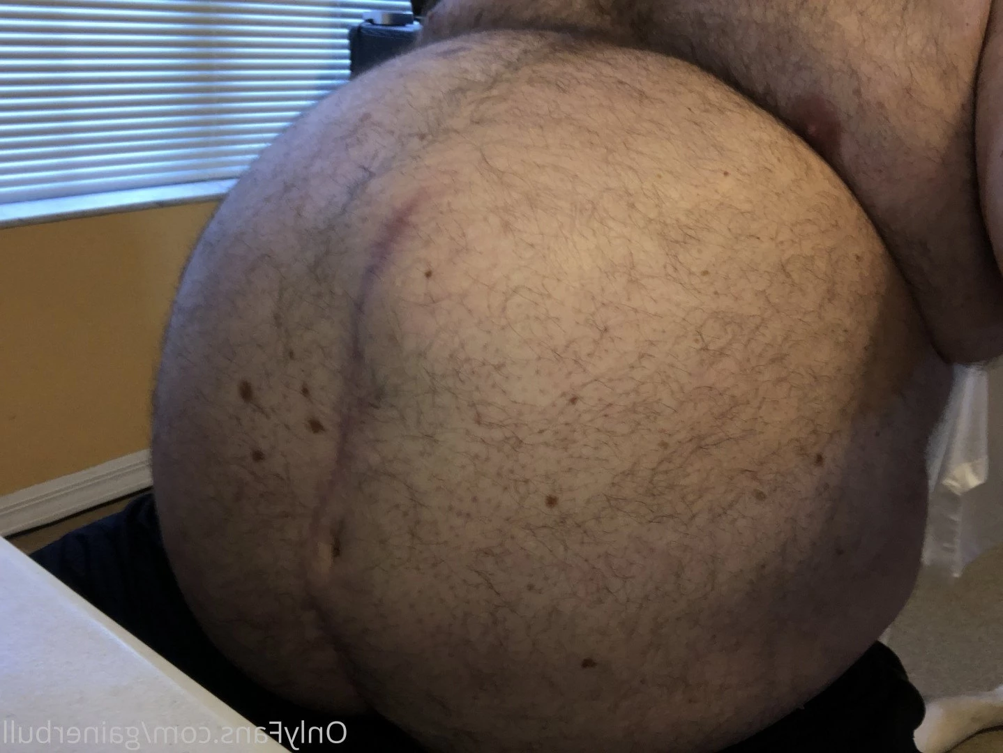 gainerbull Onlyfans leaked photo 3522237 on Hotleaks.tv