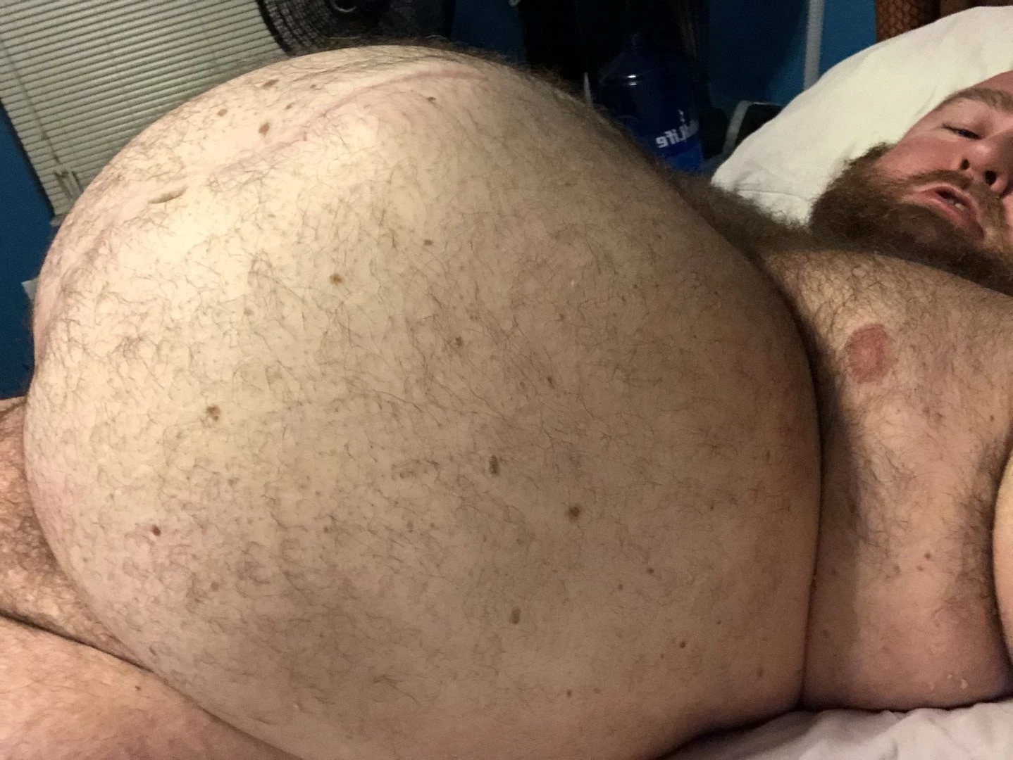 gainerbull Onlyfans leaked photo 3522538 on Hotleaks.tv