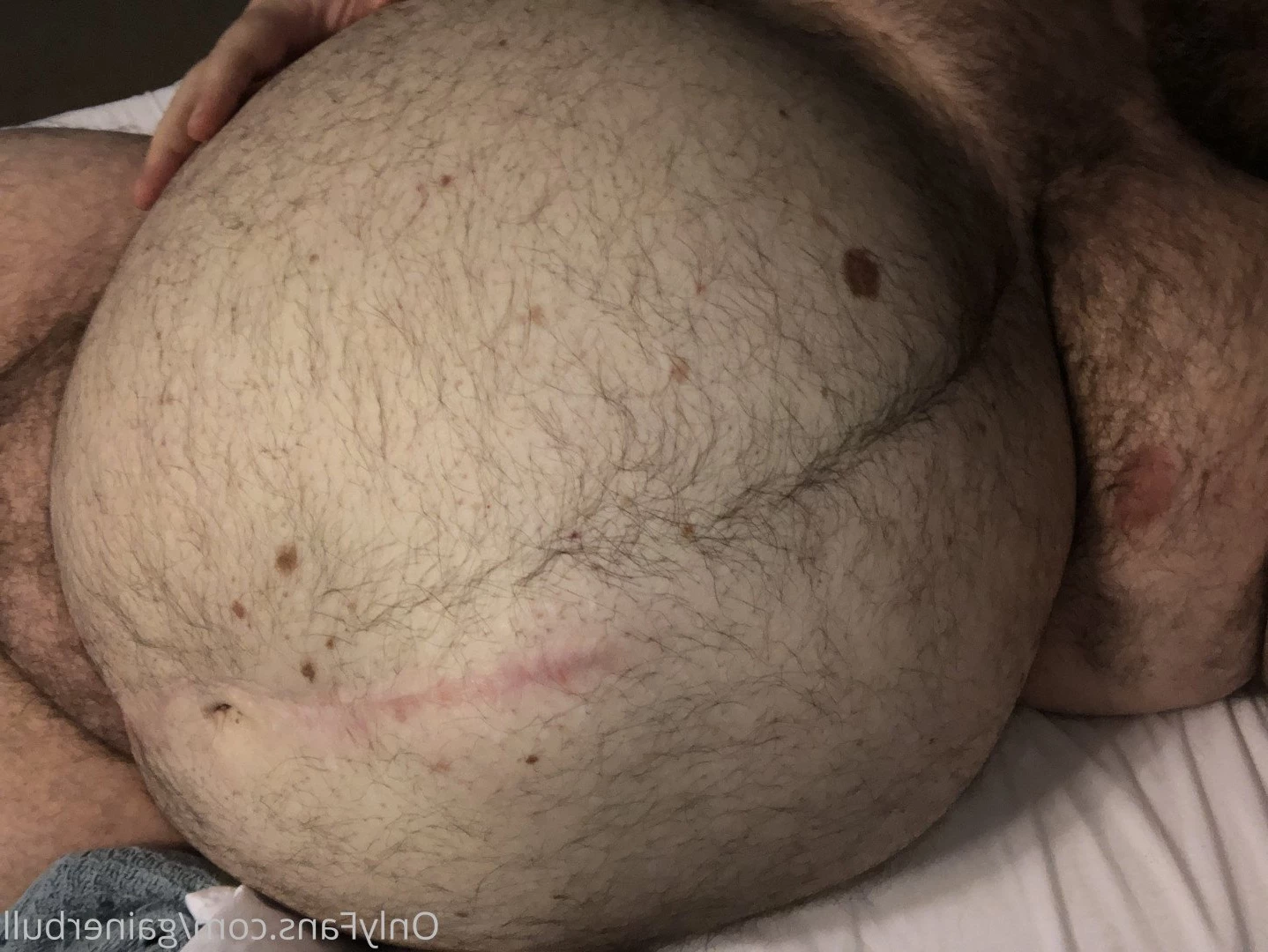 gainerbull Onlyfans leaked photo 3525741 on Hotleaks.tv