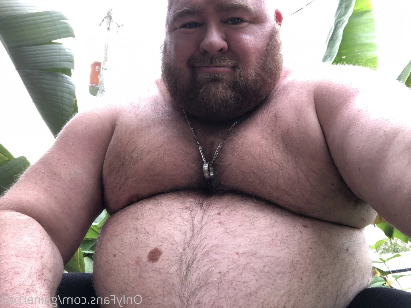 gainerbull Onlyfans leaked photo 3526095 on Hotleaks.tv
