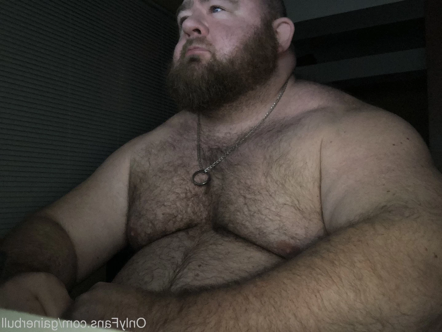 gainerbull Onlyfans leaked photo 3527025 on Hotleaks.tv
