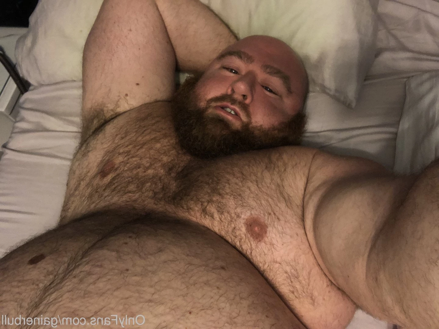 gainerbull Onlyfans leaked photo 3527453 on Hotleaks.tv
