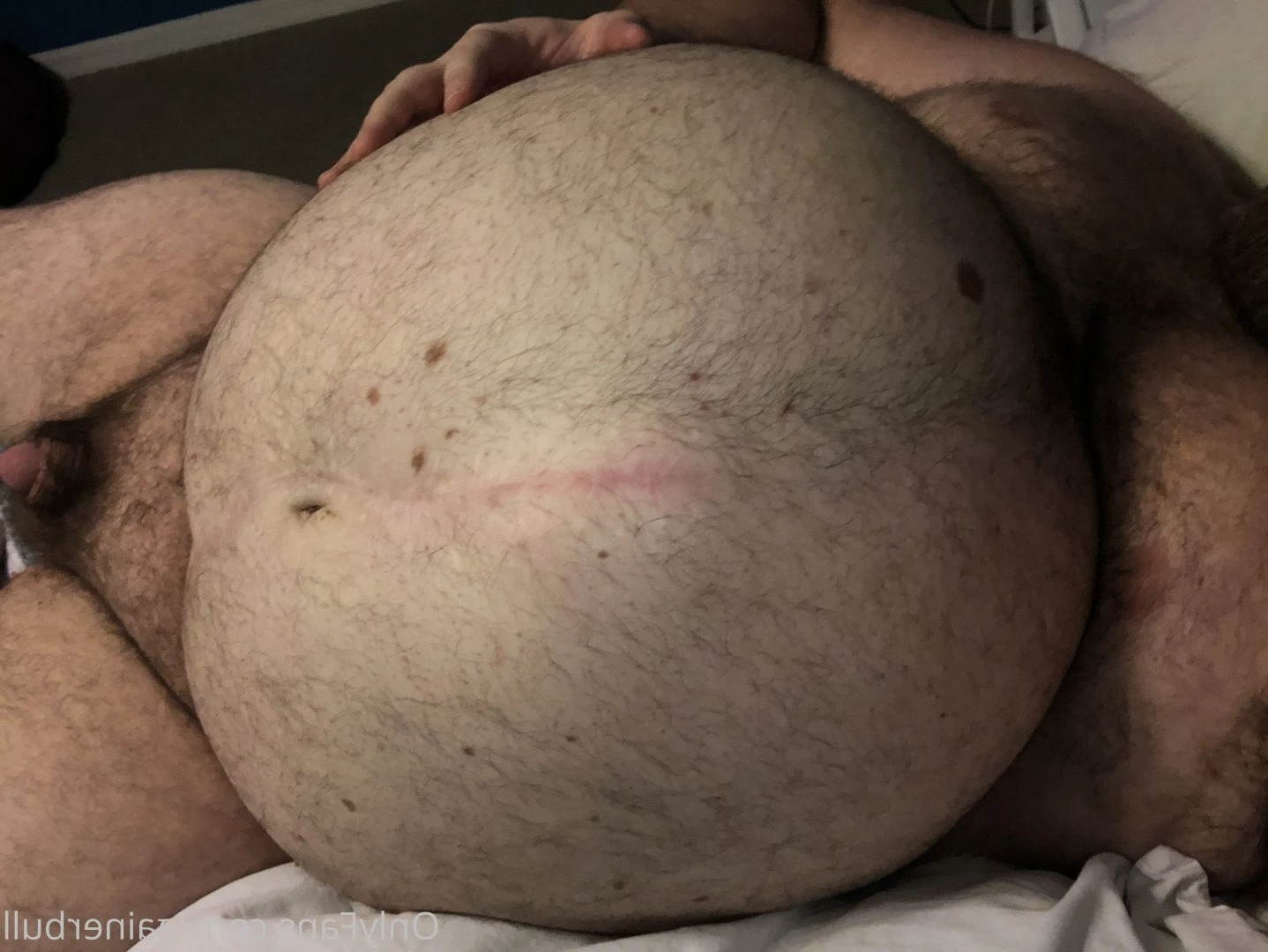 gainerbull Onlyfans leaked photo 3527707 on Hotleaks.tv