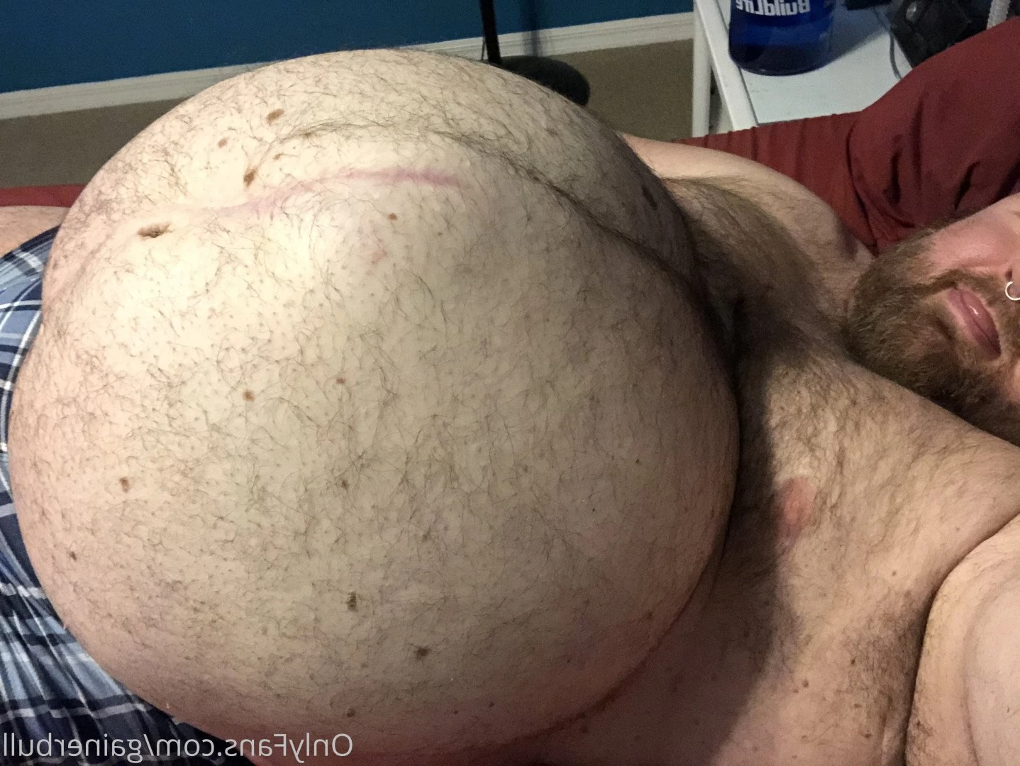gainerbull Onlyfans leaked photo 3528635 on Hotleaks.tv