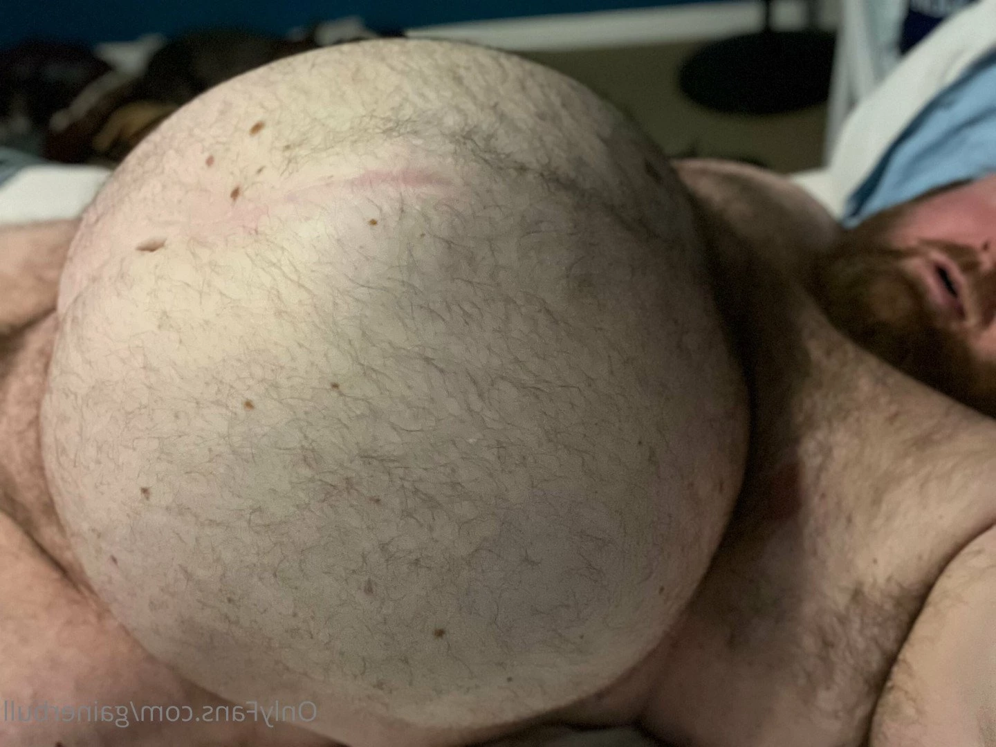 gainerbull Onlyfans leaked photo 3530509 on Hotleaks.tv