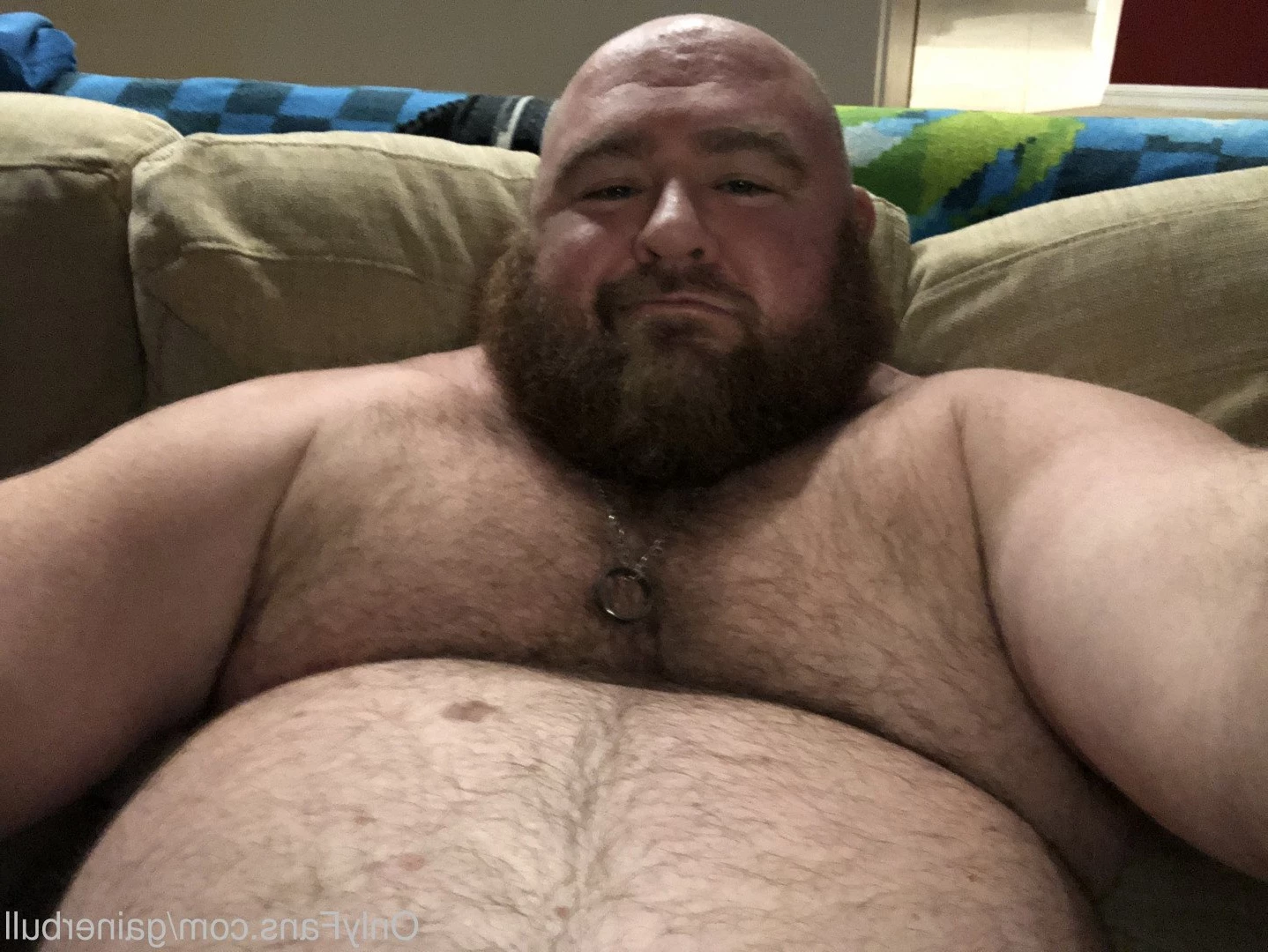 gainerbull Onlyfans leaked photo 3531785 on Hotleaks.tv