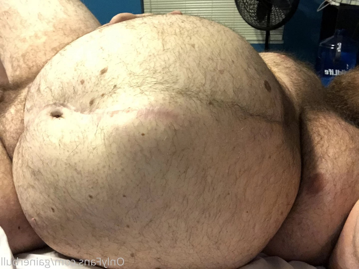gainerbull Onlyfans leaked photo 3531803 on Hotleaks.tv