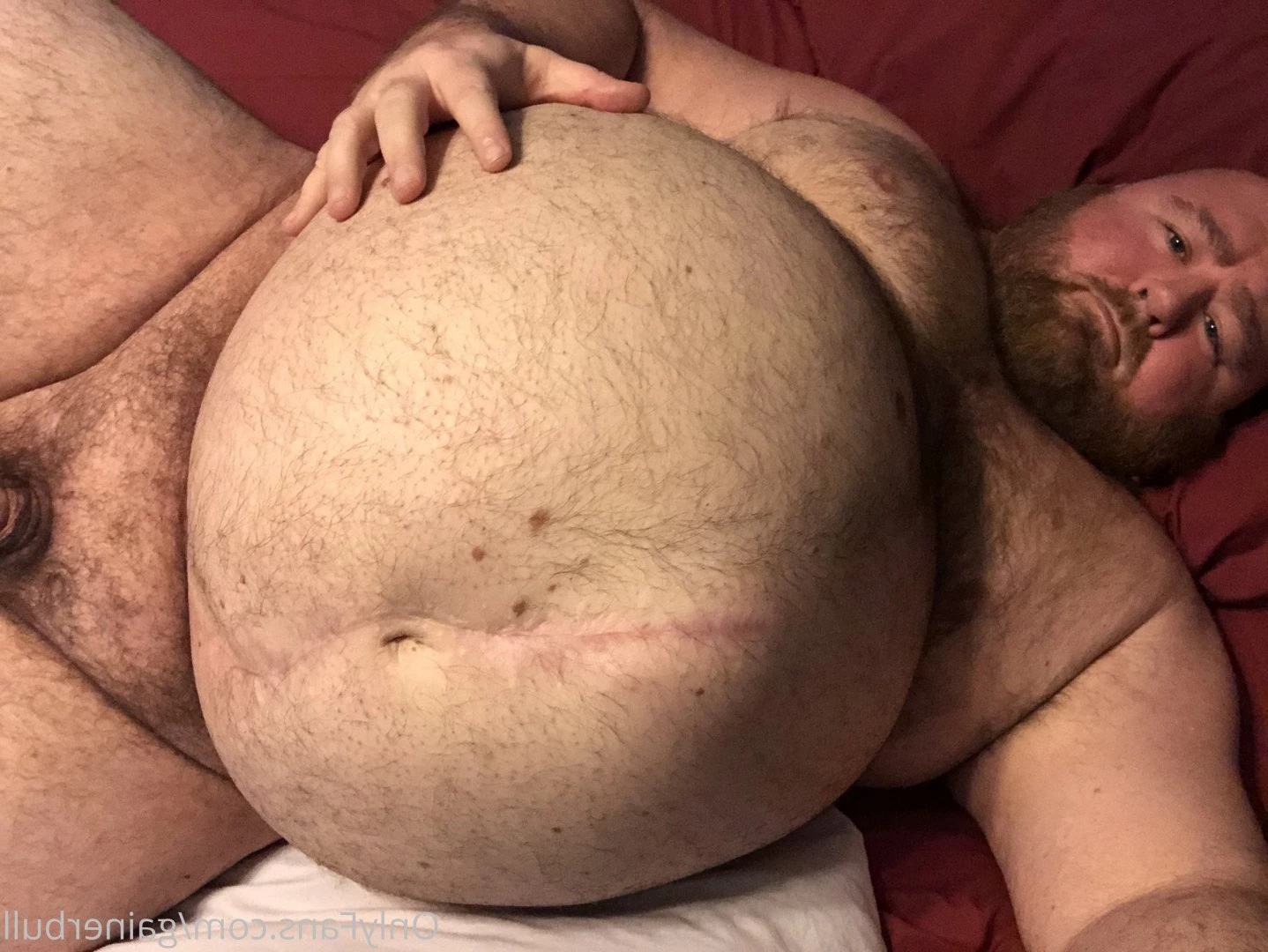 gainerbull Onlyfans leaked photo 3533593 on Hotleaks.tv