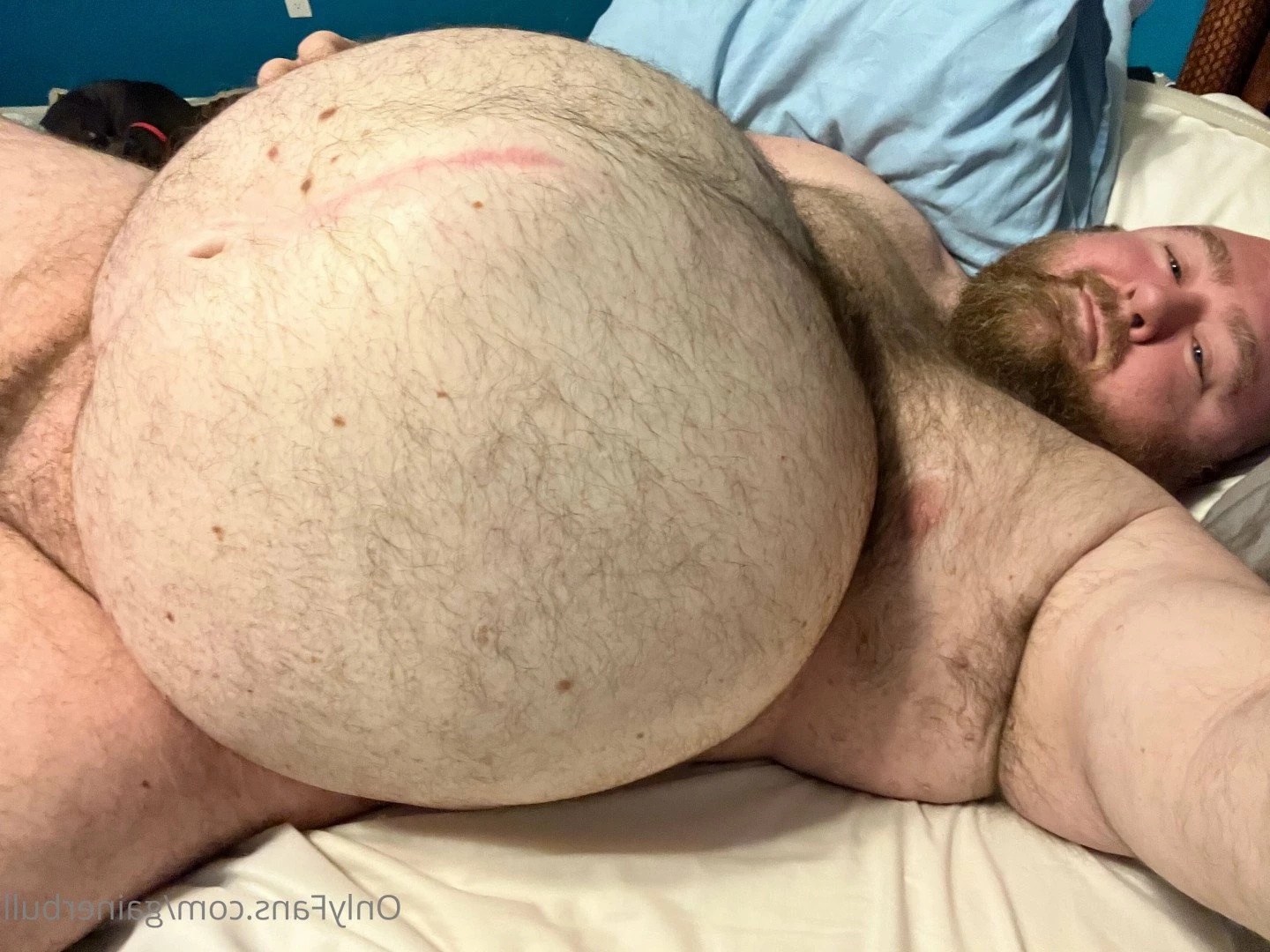 gainerbull Onlyfans leaked photo 3535728 on Hotleaks.tv
