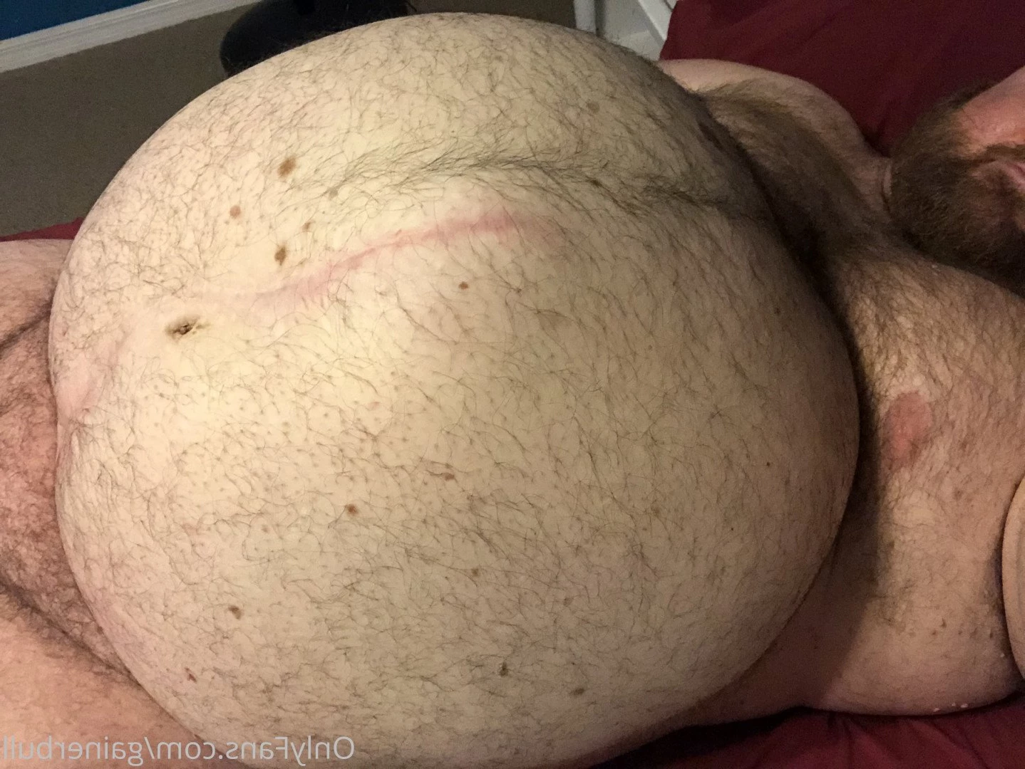 gainerbull Onlyfans leaked photo 3539158 on Hotleaks.tv