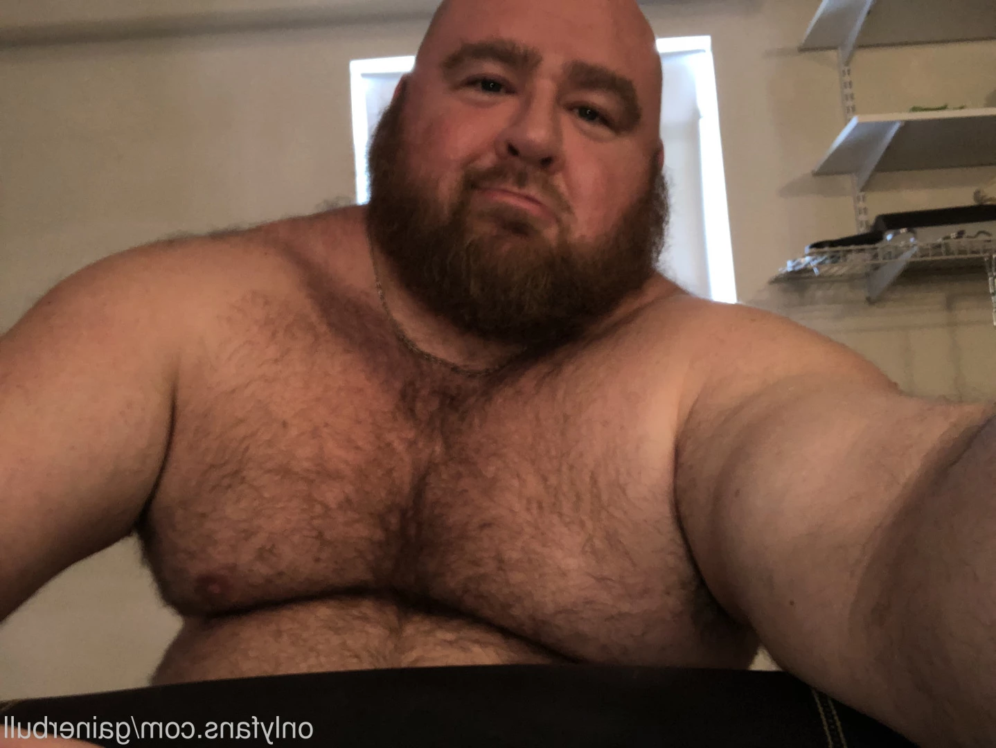 gainerbull Onlyfans leaked photo 5901863 on Hotleaks.tv