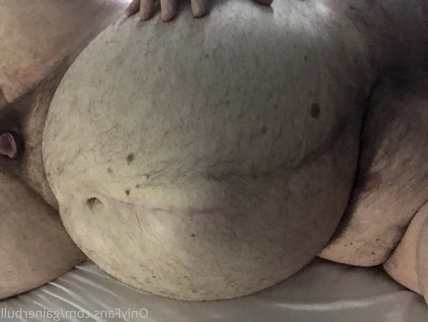 gainerbull Onlyfans leaked photo 5905156 on Hotleaks.tv