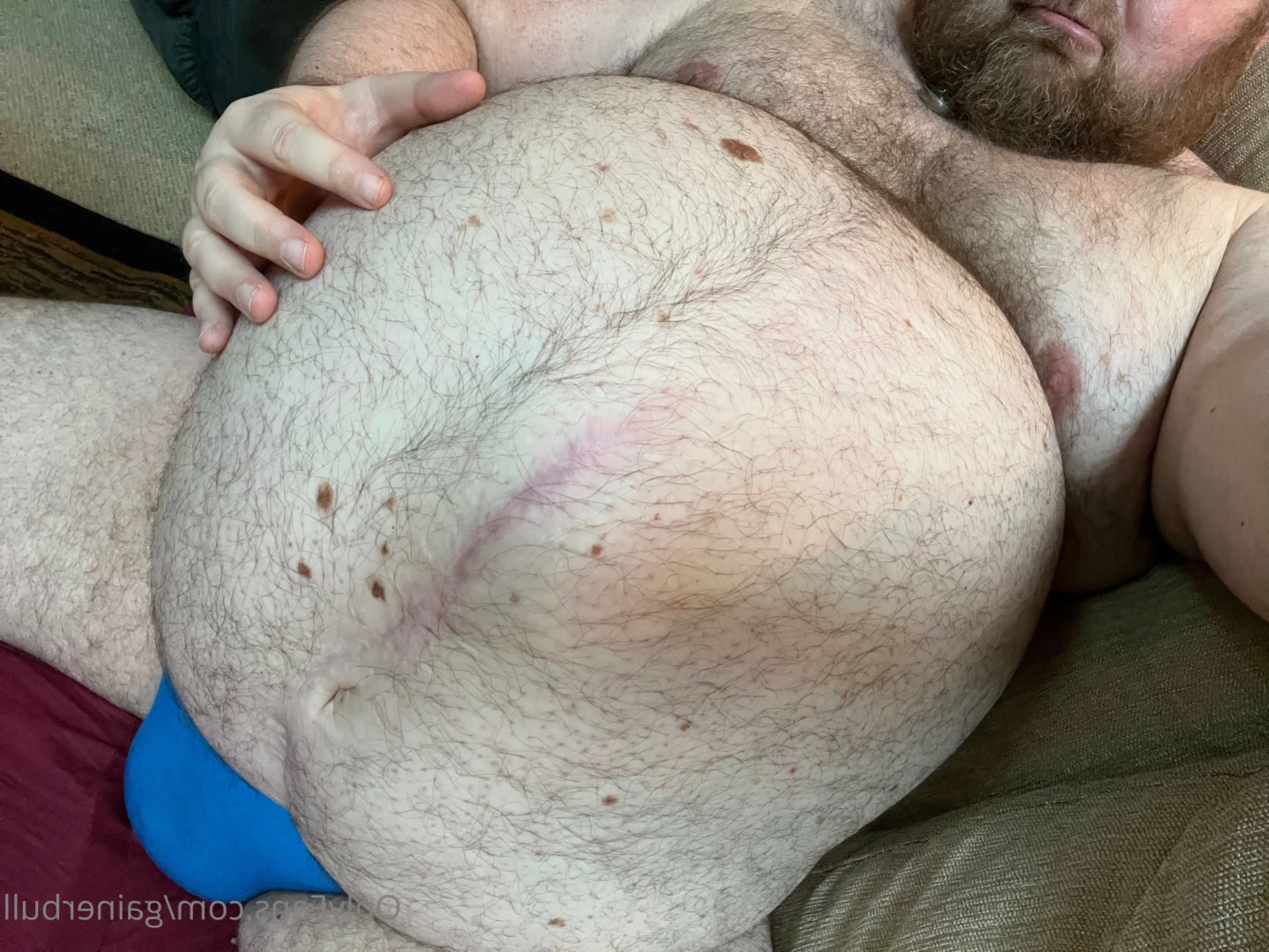 gainerbull Onlyfans leaked photo 13159626 on Hotleaks.tv