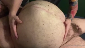 13664116