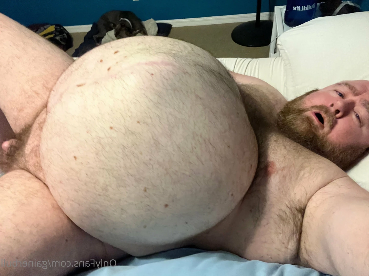 gainerbull Onlyfans leaked photo 16098151 on Hotleaks.tv