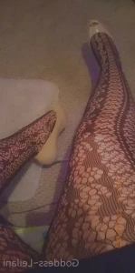 3683186