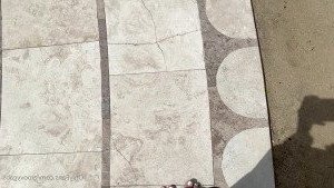 groovygabs Onlyfans leaked video 2975037 on Hotleaks.tv