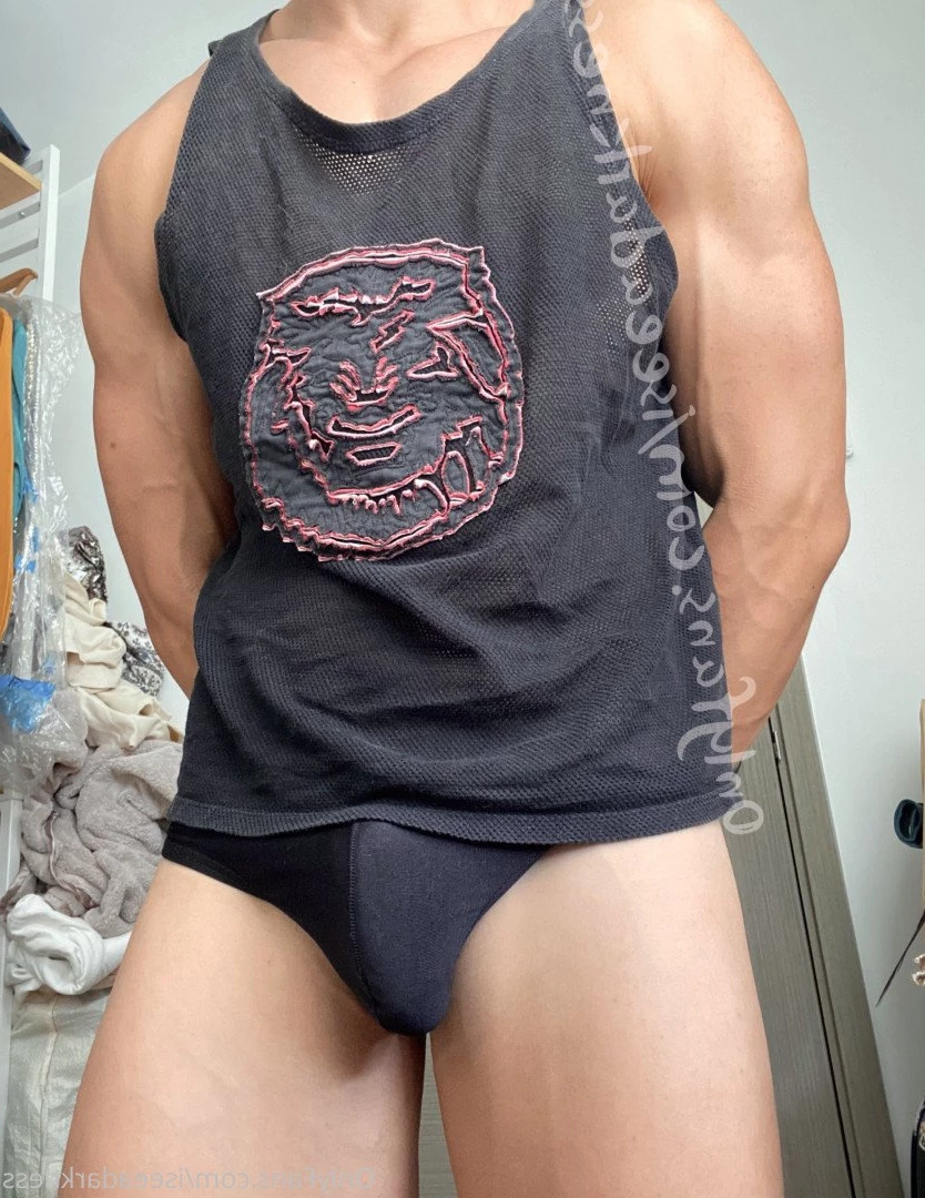 iseeadarkness_1✨ [ iseeadarkness ] Onlyfans leaked photo 2186710 on Hotleaks.tv