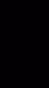 10654781