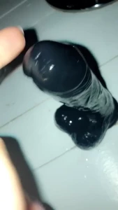 16003558