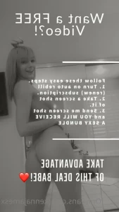 15304638