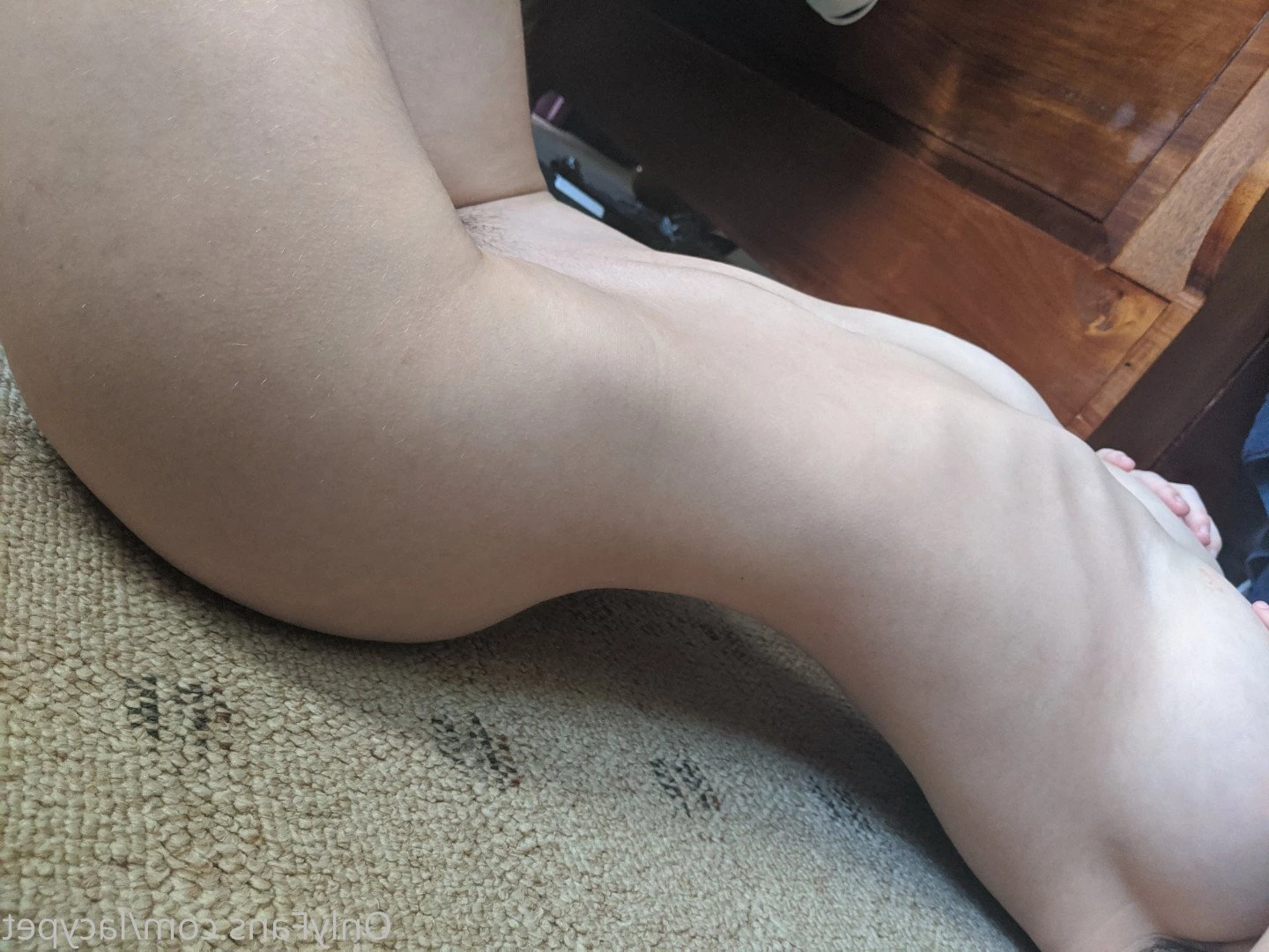 lacypet Onlyfans leaked photo 2180751 on Hotleaks.tv