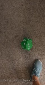 2988634