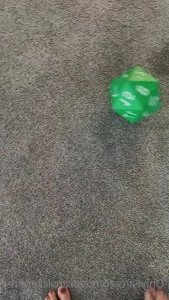 2988638