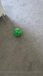 2988684