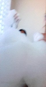 lexibarr98 Onlyfans leaked video 2989227 on Hotleaks.tv