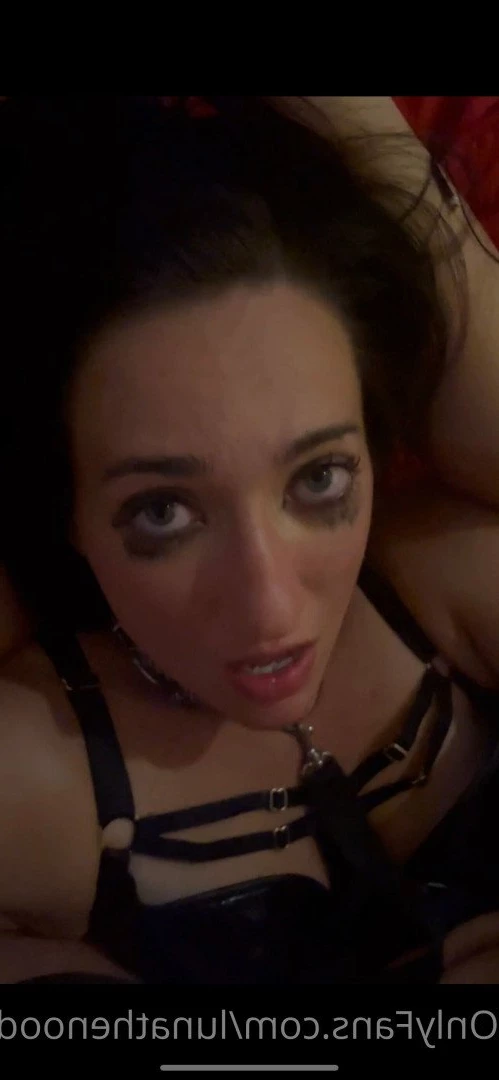 Luna the Noodle [ lunathenoodle ] Onlyfans leaked photo 3879678 on Hotleaks.tv