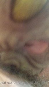 𝕸𝖔𝖓𝖘𝖙𝖊𝖗𝖇𝖆𝖎𝖙 [ monsterbait ] Onlyfans leaked video 3002892 on Hotleaks.tv