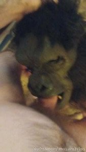 𝕸𝖔𝖓𝖘𝖙𝖊𝖗𝖇𝖆𝖎𝖙 [ monsterbait ] Onlyfans leaked video 3003971 on Hotleaks.tv